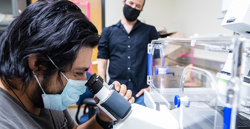 Graduate student in the Sukenik lab